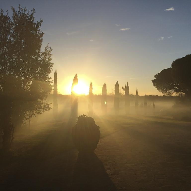 Podere Il Giurato Fauglia Exterior foto